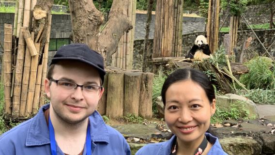 Panda Keeper Volunteer Experience in Dujiangyan Panda Base All Inclusive Day Tour
