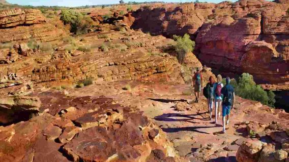 AATKings Uluru Kings Canyon Carpark Hiking Day Tour in Australia's Northern Territory