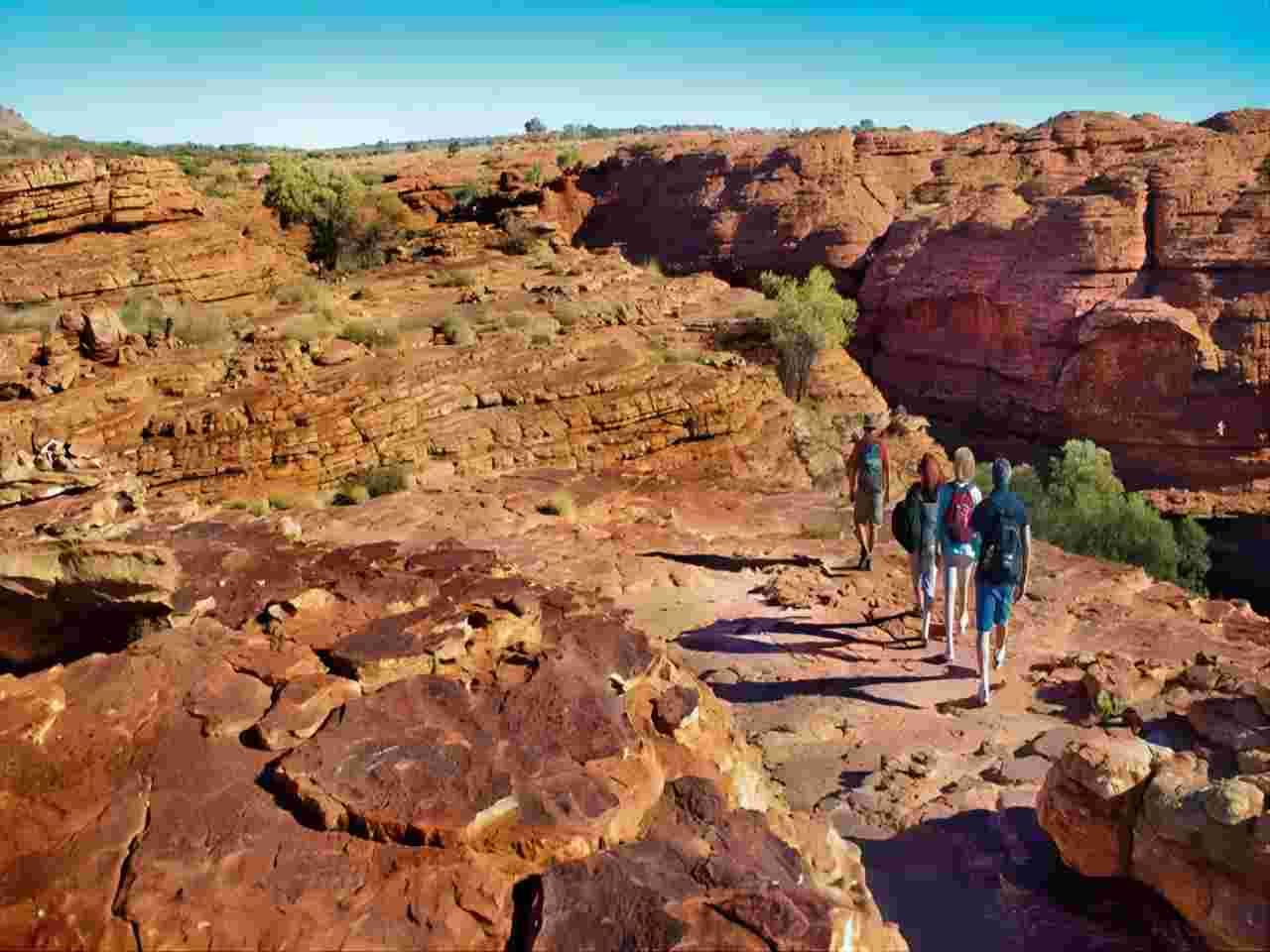 AAT Kings Australia Northern Territory Uluru Kings Canyon Carpark Hiking Day Tour