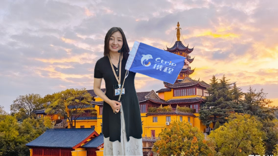 visita guiada en vivo con guía en Nankín|Guía turístico privado en chino e inglés [Visitas personalizables como el Palacio Presidencial, el Mausoleo Ming Xiaoling, el Mausoleo de Sun Yat-sen, el Templo Jiming, la Montaña Niushou, etc.]