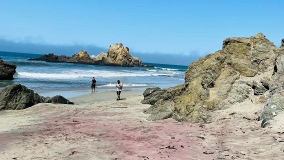 Los Angeles - Solvang - Monterey - Highway 1 - San Francisco - Private Charter - Top Pick