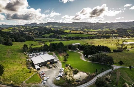 tur harian sewa kendaraan pribadi Sehari 8 Jam: Auckland Matakana Winery + Spa + Pantai Orewa