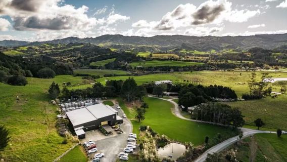 Auckland Matakana Winery + Hot Springs + Orewa Beach 8hr Private Charter Day Tour