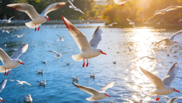 Yunnan Culture & History + Kunming Cuihu Lake - Military Academy - Yunnan University Route