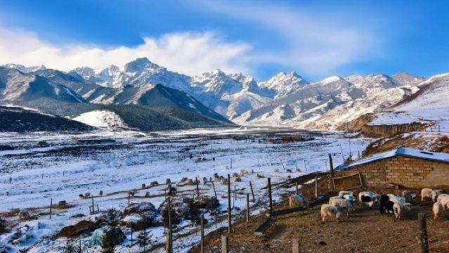 烏鞘嶺＋天梯山石窟＋白塔寺＋馬牙雪山一日遊舒適九座【武威】