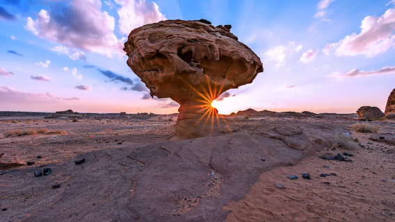 [Berlepas dari Al Ula | Sewaan Peribadi Berbahasa Cina] Hegra Arab Saudi + Batu Gajah + Dewan Muzik Maraya