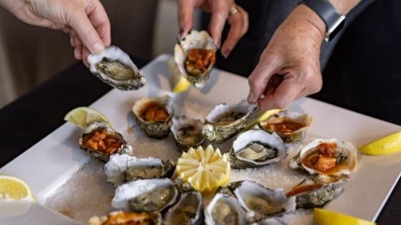 Hobart seafood dinner cruise + stargazing night experience in Tasmania