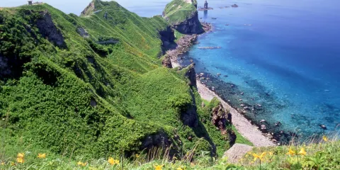 日本北海道札幌|神威岬+小樽運河+白色戀人公園一日遊