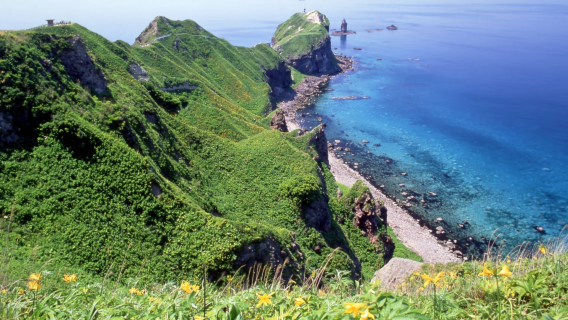 Hokkaido (Sapporo) Cape Kamui + Otaru Canal + Shiroi Koibito Park Day Tour