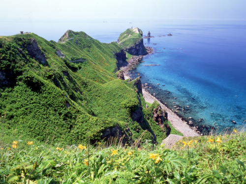 日本北海道札幌|神威岬+小樽運河+白色戀人公園一日遊