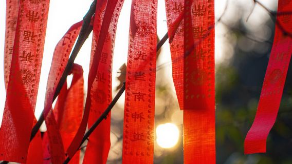 Retret 7/15/30 Hari di Daoyuan Gunung Wudang | Termasuk Pengangkutan, Penginapan, Makanan & Senaman Tai Chi untuk Kesihatan