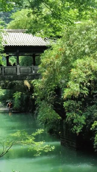 Yichang 1-day tour: Tribe of the Three Gorges + Three Gorges Dam, private customize, Chinese and English guides, one group per booking