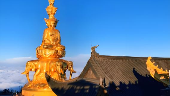 [프라이빗 투어] 청두 출발 어메이산 전용 차량 당일치기 투어: 편안한 경험으로 걱정 없는 여행