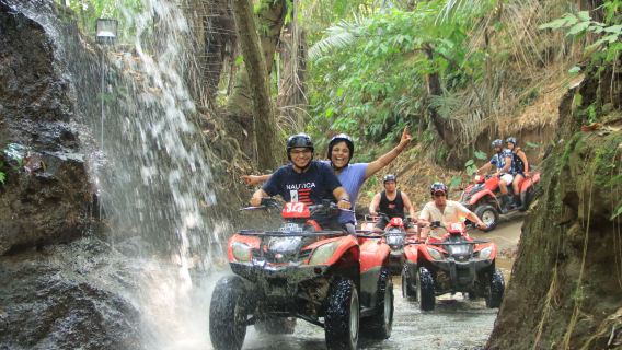 Bali Tarantula Adventure 烏布 ATV 四輪越野車體驗 
