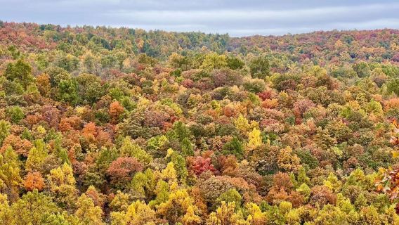 Amerika Syarikat Washington D.C. - Taman Negara Shenandoah + Gua Luray lawatan sewa peribadi, perjalanan boleh disesuaikan