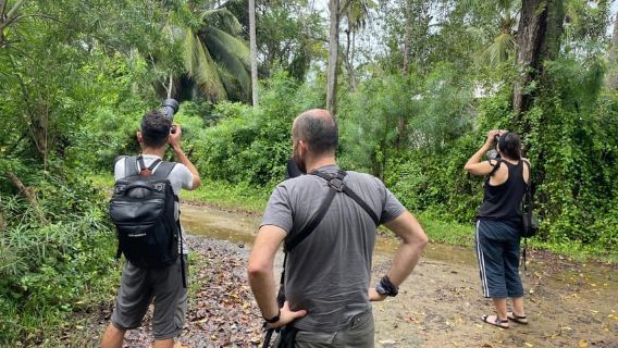 Tissamaharama: Birds Watching Tour