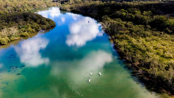 Byron Bay: Group 2.5 Hour Stand-Up Paddle Board Tour