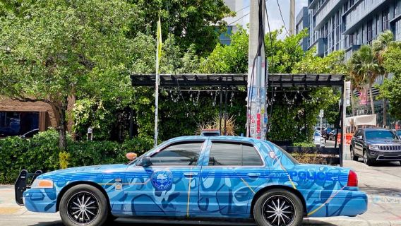 Visite à pied de Wynwood en français (2h)