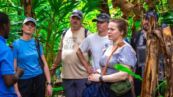 Zanzibar: Spice Farm & Stone Town City Tour with a Guide