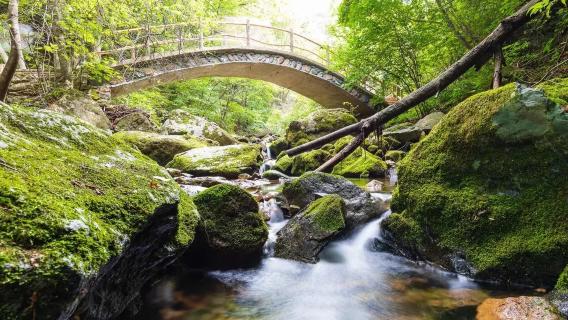 Sewaan peribadi dari Shenyang ke Taman Negara Guanmenshan + Lembah Batu Hijau