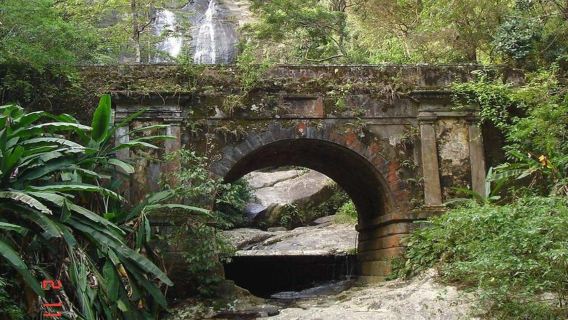 Tijuca National Park & Botanical Garden Experience