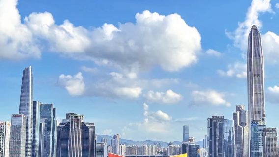 Guía multilingüe en Shenzhen (inglés, francés, español, ruso) para visitas a fábricas con servicio de recogida en el aeropuerto/traslado al aeropuerto en vehículo privado