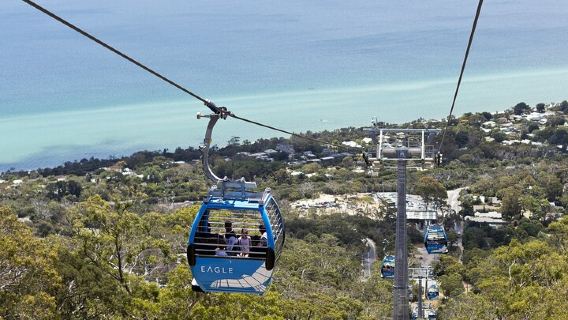 MorningtonTours
