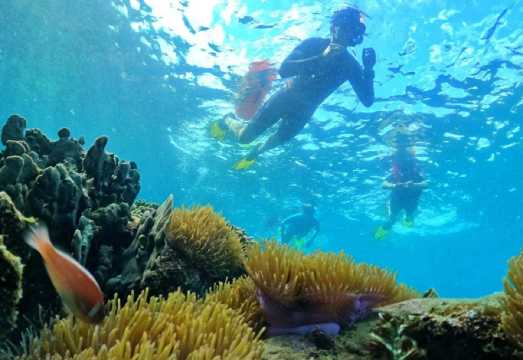 Phu Quoc Island Coral Reef Snorkeling Half-Day Tour [10-Person Small Group + Hotel Transfer + 2 Snorkeling Sessions]