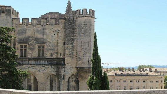 Palacio de los Papas y Jardines: Entrada