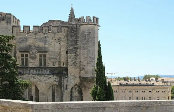 教宗宮殿及花園：入場門票