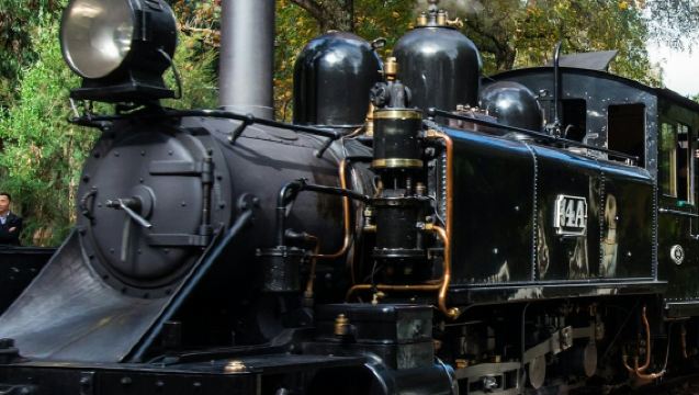 Panoramische Bustour ab Melbourne mit Puffing Billy & Healesville Sanctuary