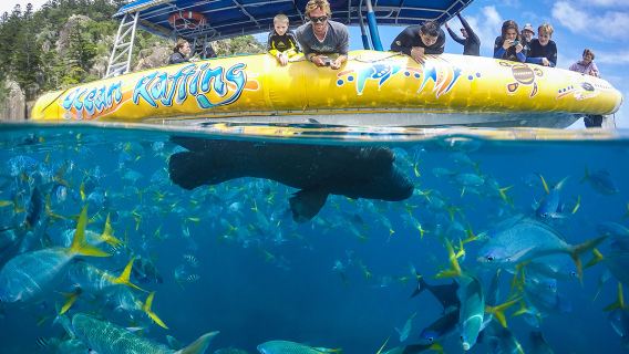 Whitsunday Islands Whitehaven Beach + Hill Inlet Lookout Bot Laju Lawatan Sehari Snorkeling