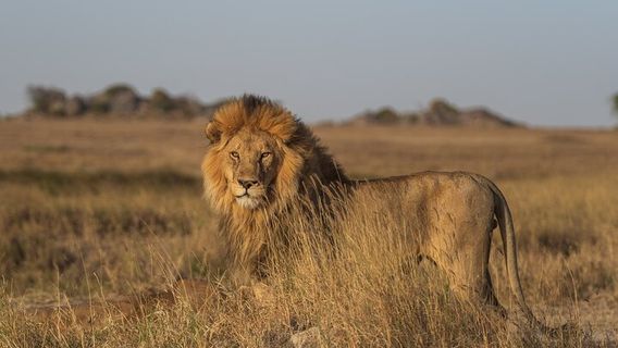 NairobiTours