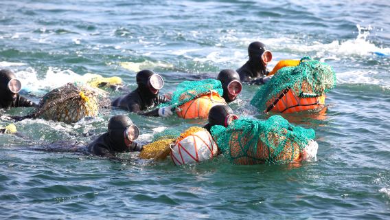 Khởi hành từ Seogwipo: Tour tham quan UNESCO Đông Jeju trong ngày