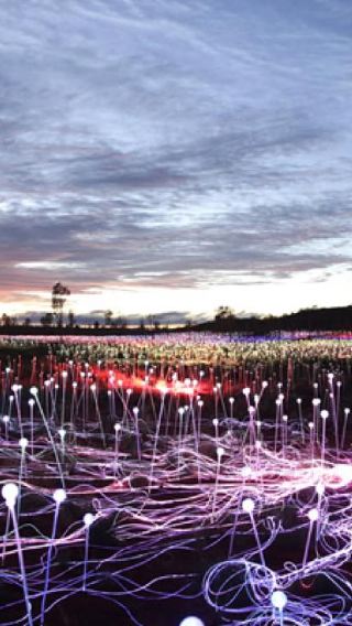 Uluru Sunrise & Field of Light Exhibition [English-Speaking Guide + Hotel Transfer + Sunrise Morning Tea]