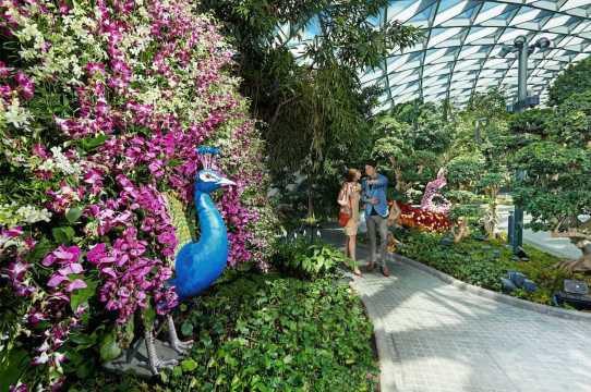 Sân bay Jewel Changi: Vé tham quan Mê cung Gương và Công viên Canopy