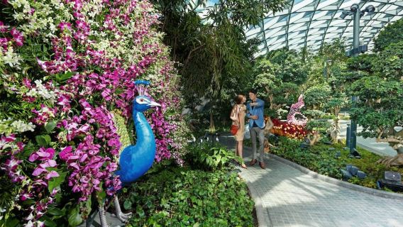Jewel Changi Airport: Ticket für Spiegellabyrinth und Canopy Park