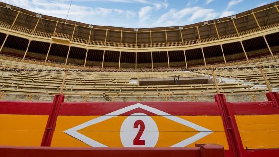 Alicante: Bullring and Bullfighting Museum Entry Ticket