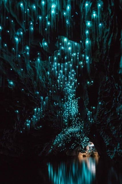 Auckland: Waitomo Caves & Rotorua - Te Puia Small-Group Tour