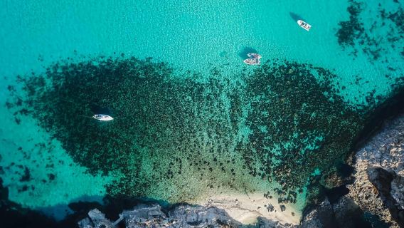 Sliema/St. Paul's: Du thuyền phà Gozo, Comino & Blue Lagoon