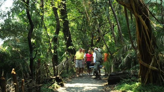 Victoria Falls: Guided Tour
