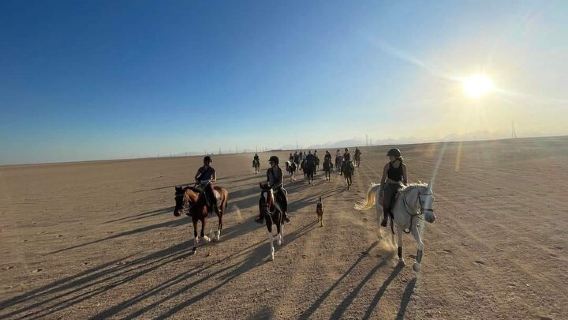 Bedouin Dinner, Egyptian Show and Horse Ride tour 1 Hour - Sharm El Sheikh