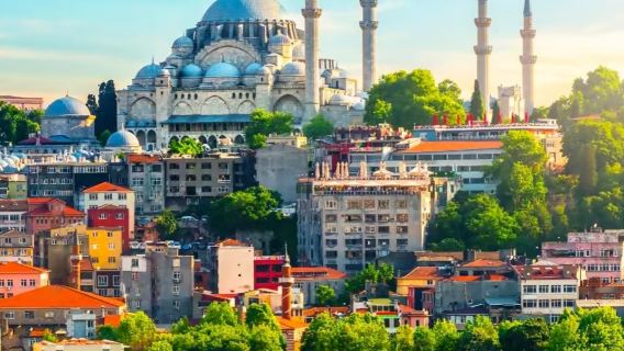 Ophaal- en naar luchthaven brengen van de luchthaven van Istanbul met een aangepaste auto, gids en tolk