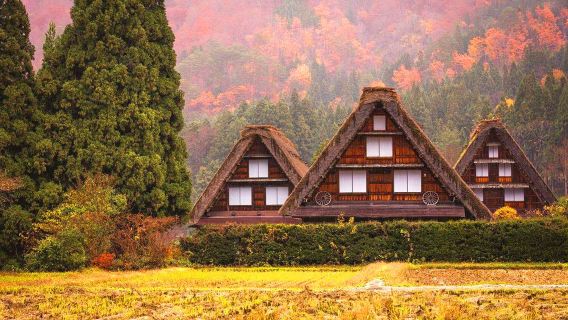 Departing from Nagoya | Day Tour to Explore Takayama & Shirakawa-go's Gassho-zukuri Villages World Heritage