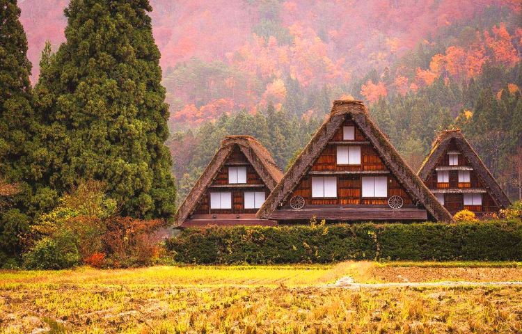 日本名古屋白川鄉+飛驒高山一日遊【可選9人團|中文服務純玩】