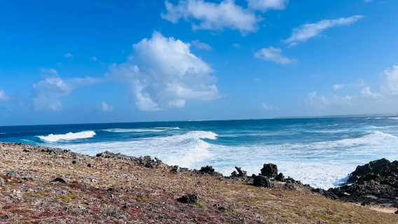 1-stündige Offroad-Tour zur Natural Bridge + Blue Bay Beach + Grand Baie + Tagesausflug ab 2 Personen