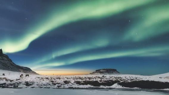 冰島一日遊【博物館+冰島之鯨+藍湖+極光】