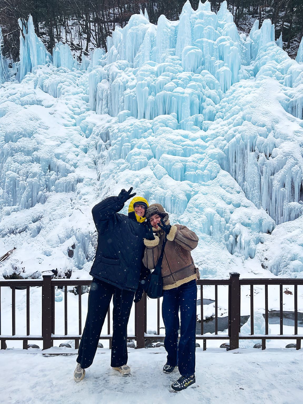 ฤดูหนาวเท่านั้น | ออกเดินทางจากโซล: เกาะนามิ + หุบเขาปลาบิน + หมู่บ้านฝรั่งเศสเล็ก