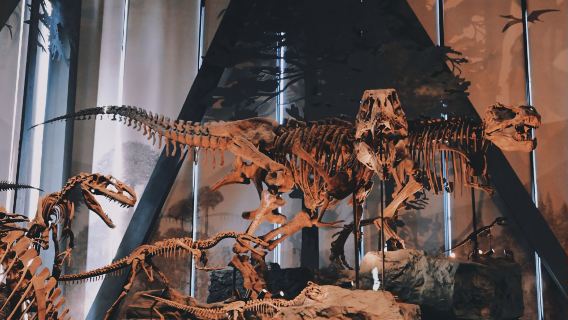 直隸總督署+古蓮花池+西大街+中國古動物館一日遊