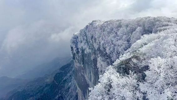 Tour di un giorno a Chongqing sul Monte Jinfo [neve in montagna/mare di nuvole/brina ghiacciata/noleggio con conducente esclusivo per 10 ore/guida in inglese]